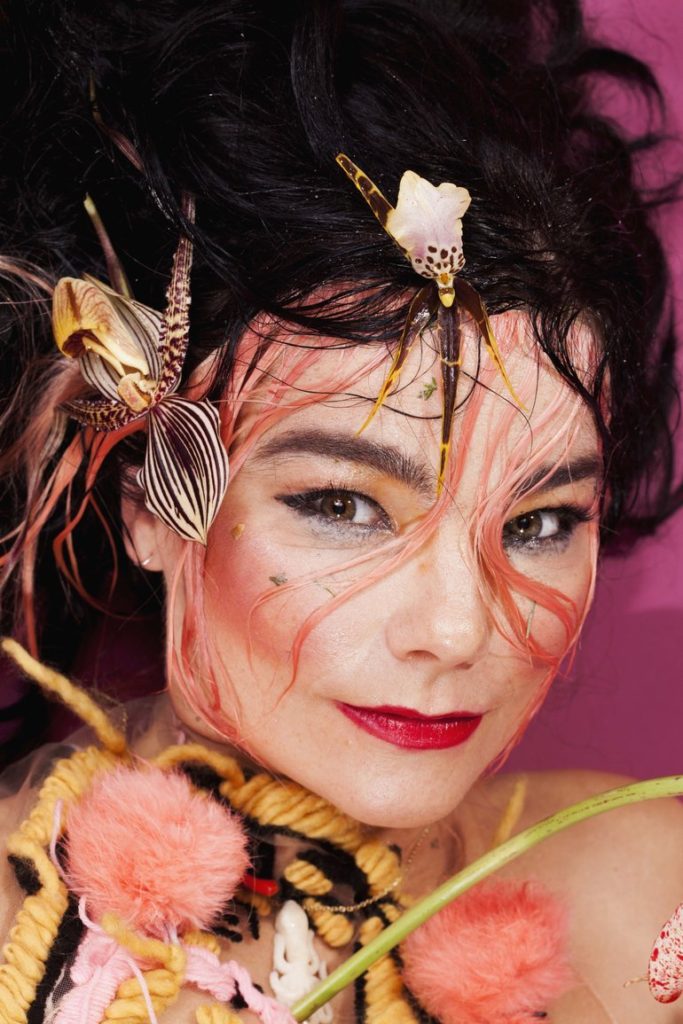 Who the... is Björk?