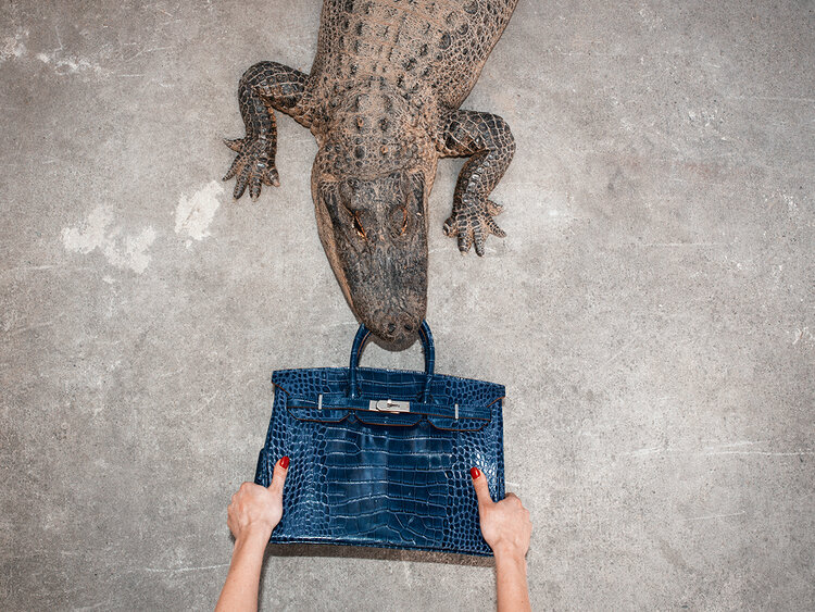 Celine and its controversial crocodile skin collection